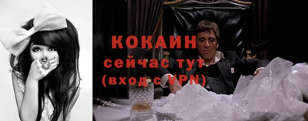 дмт Ельня