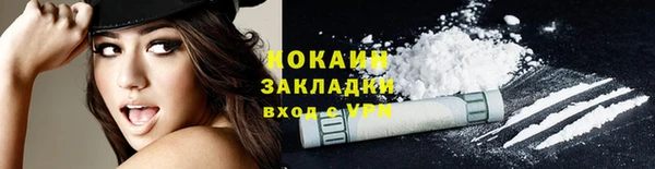 прущие грибы Тобольск