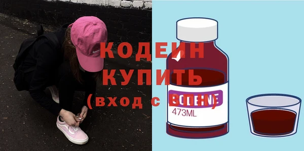 дмт Ельня