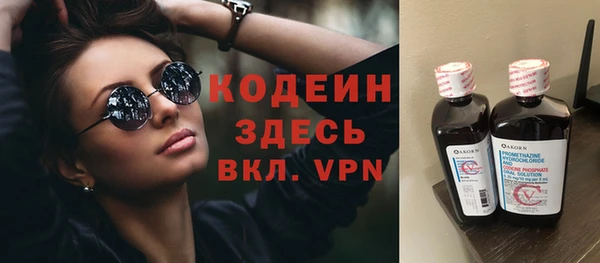 стаф Елизово