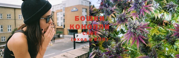 шишки Заволжье
