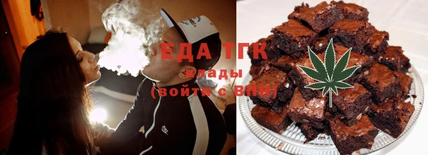 дмт Ельня