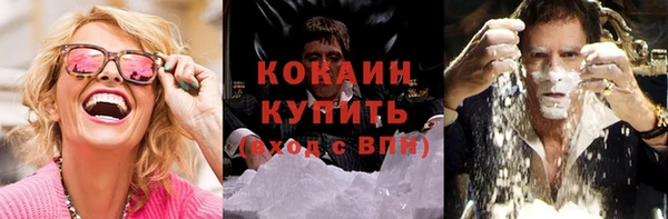 дмт Ельня