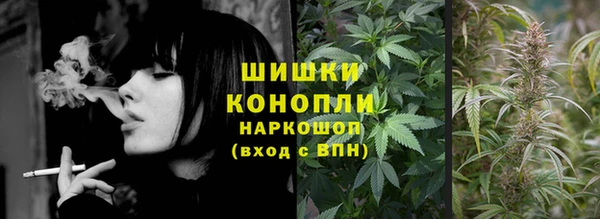стаф Елизово