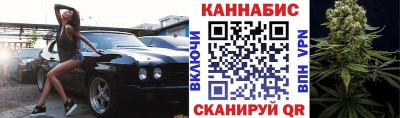 Купить  Сенгилей  Каннабис VHQ 